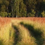 Národní parky přidělí pozemky pro izhs a „na oplátku“ rozšíří chráněná území
